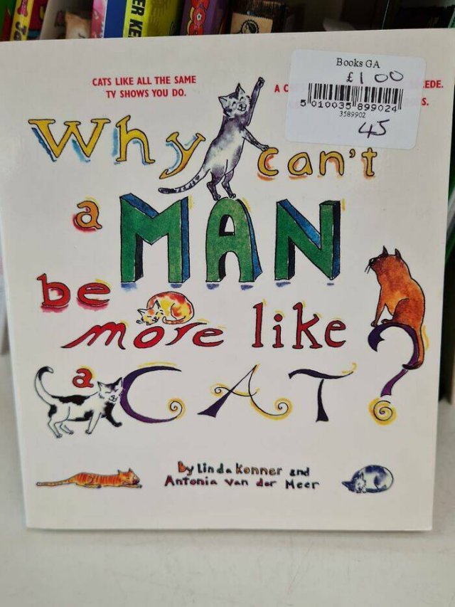 Odd Finds In Charity Shops (40 pics) Odd Finds In Charity Shops (40 pics)