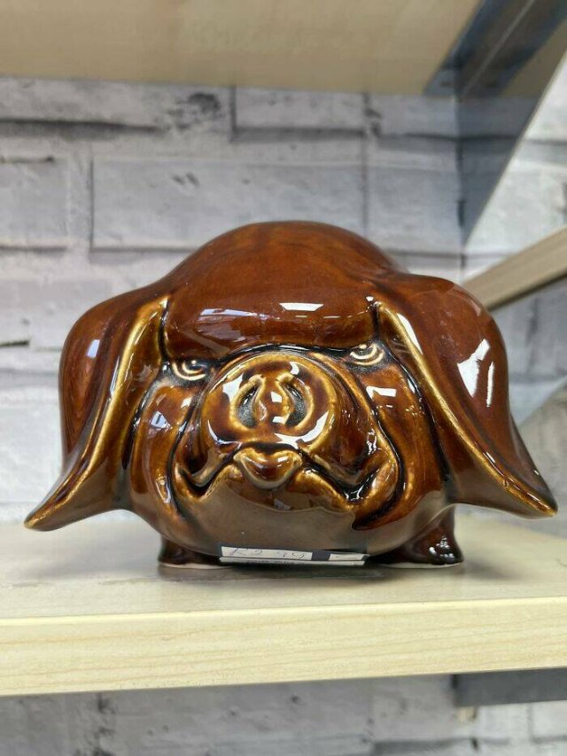 Odd Finds In Charity Shops (40 pics)