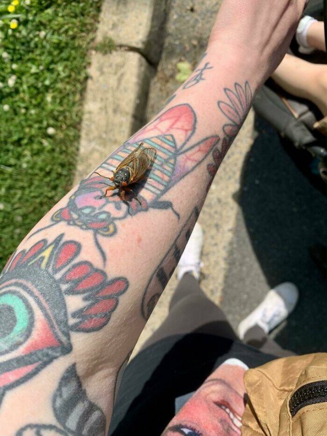Unexpected Matches With Tattoos (35 pics) Unexpected Matches With Tattoos (35 pics)