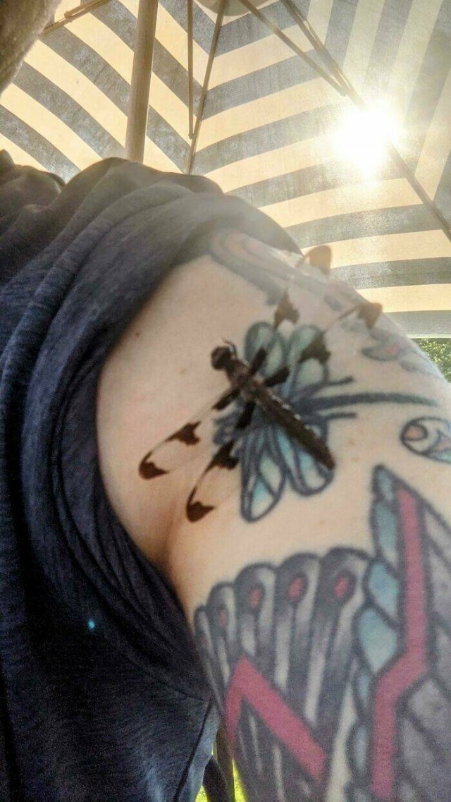 Unexpected Matches With Tattoos (35 pics)
