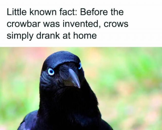 Dad Jokes (39 pics)