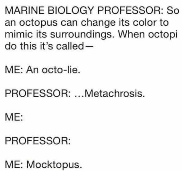 Dad Jokes (39 pics)
