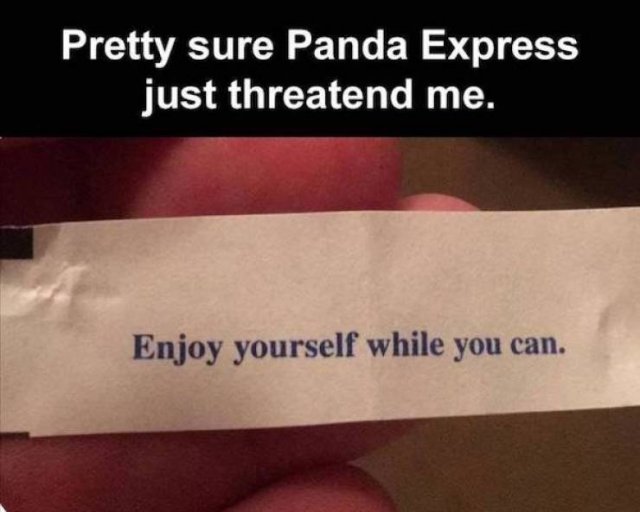 Strange Finds (42 pics)