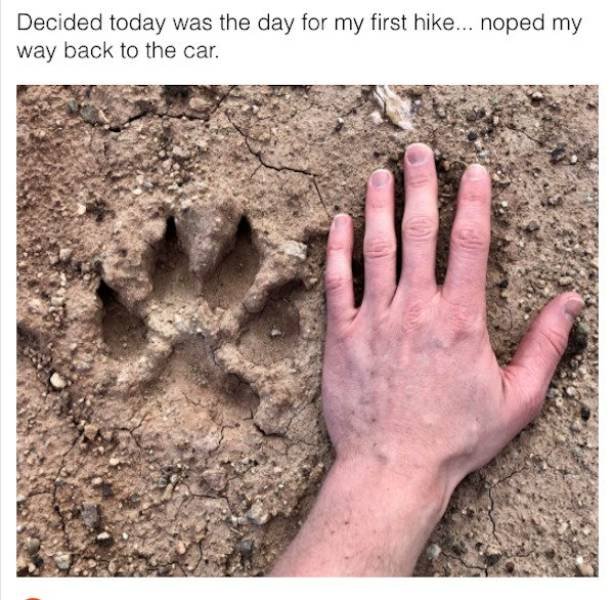 Strange Finds (42 pics)