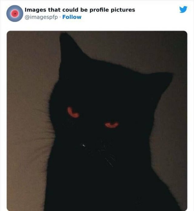 Amazing Photos And Finds (25 pics)