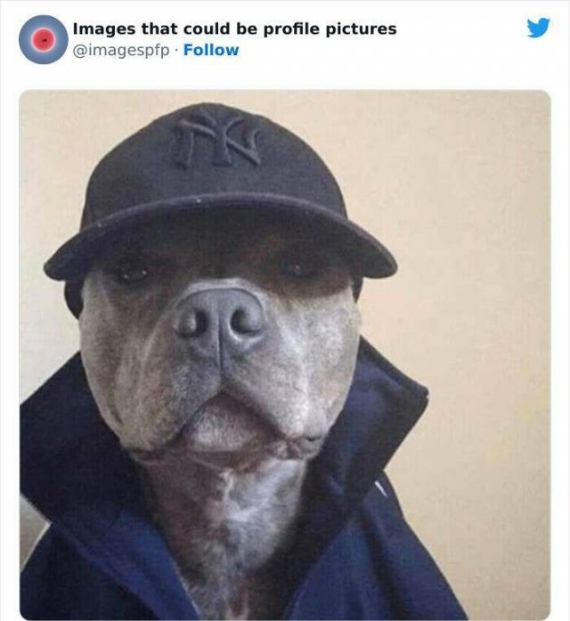 Amazing Photos And Finds (25 pics)