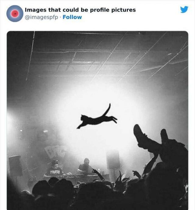 Amazing Photos And Finds (25 pics)