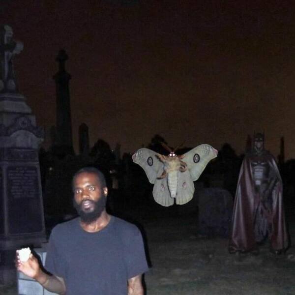 Funny Memes (49 pics)