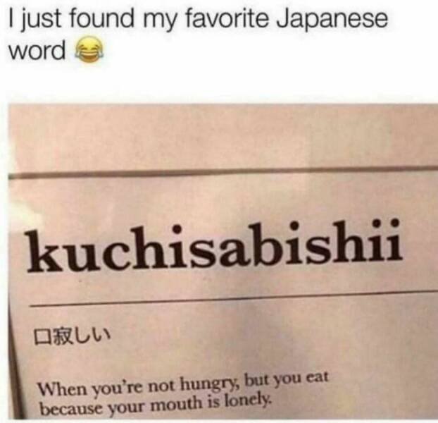 Funny Memes (49 pics)