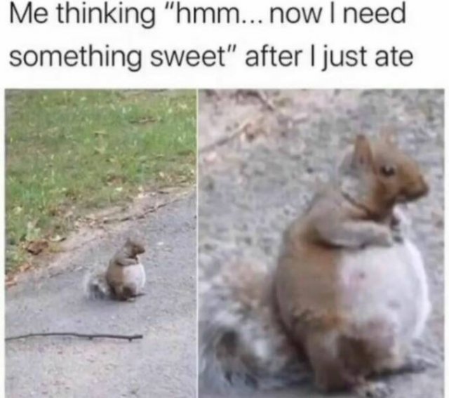 Funny Memes (49 pics)