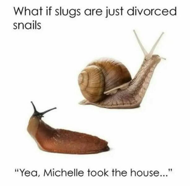 Funny Memes (49 pics)