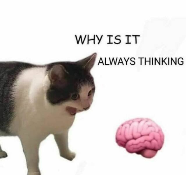 Funny Memes (49 pics)