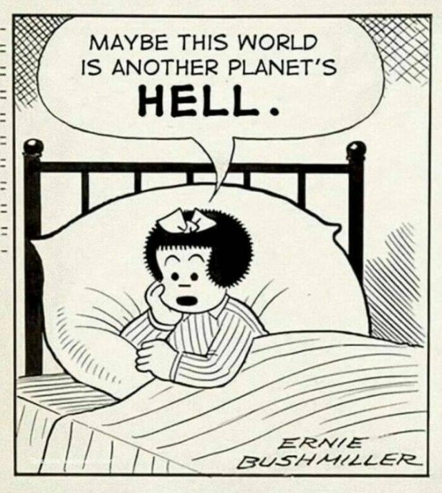 Funny Memes (49 pics)