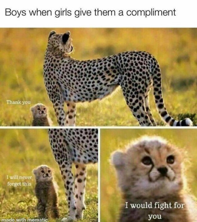 Funny Memes (49 pics)