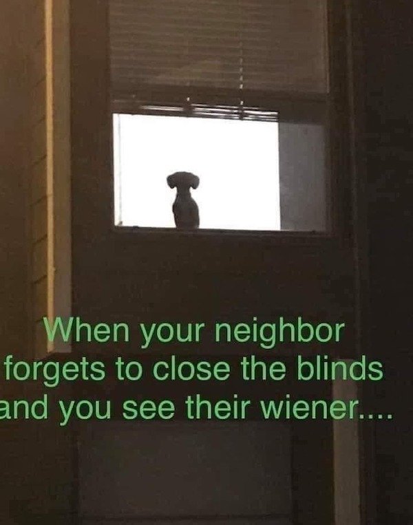 Funny Animals (68 pics)