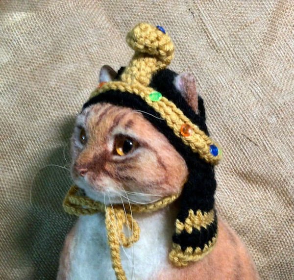 Funny Animals (68 pics)