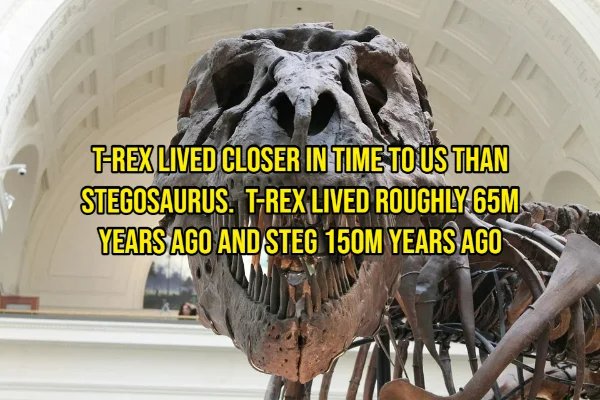 Interesting Facts (21 pics)