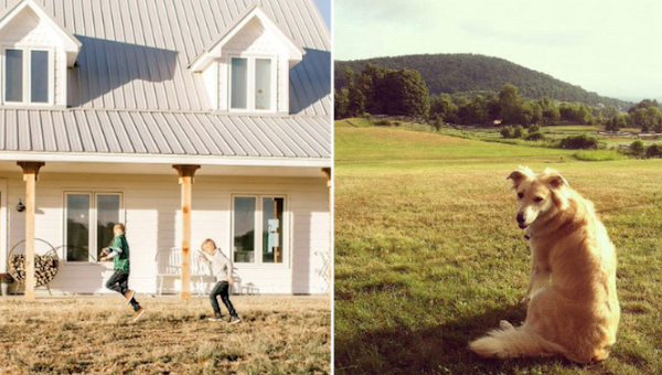 Amazing Houses And Interiors (31 pics)