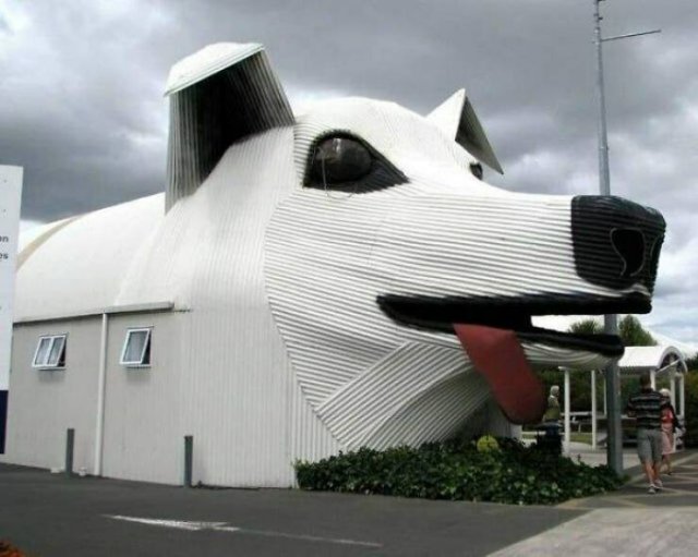 Weird Designs (42 pics)
