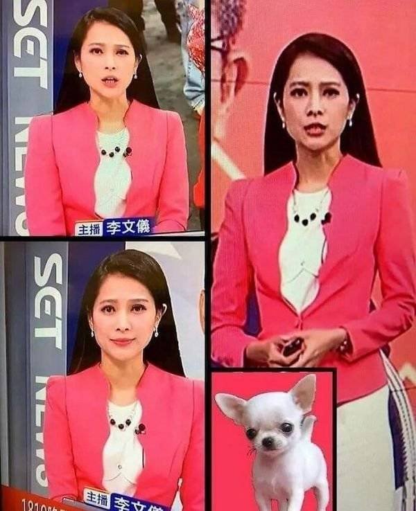 Odd Fashion (32 pics)