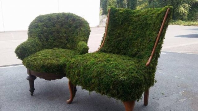 Weird Designs (42 pics)