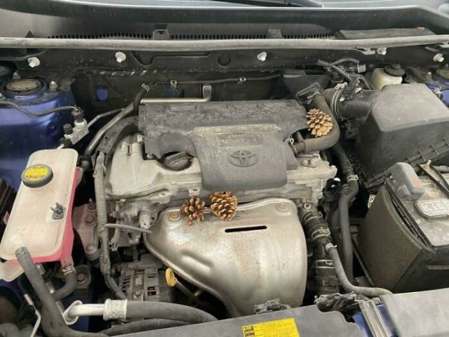 Unusual Finds Of Car Mechanics (34 pics)