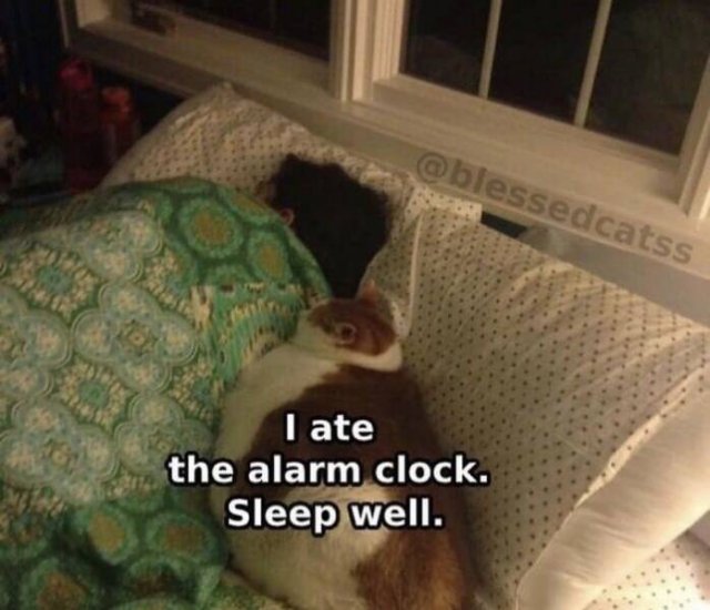 Work Memes (47 pics)