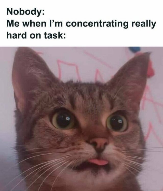 Work Memes (47 pics)