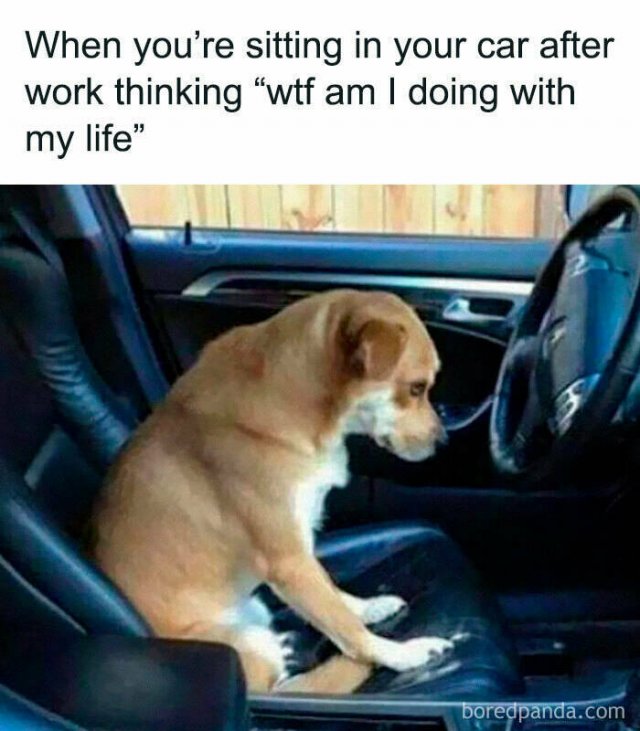 Work Memes (47 pics)