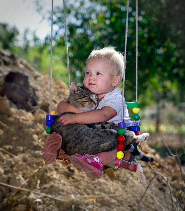 Cute And Caring Cats (40 pics)