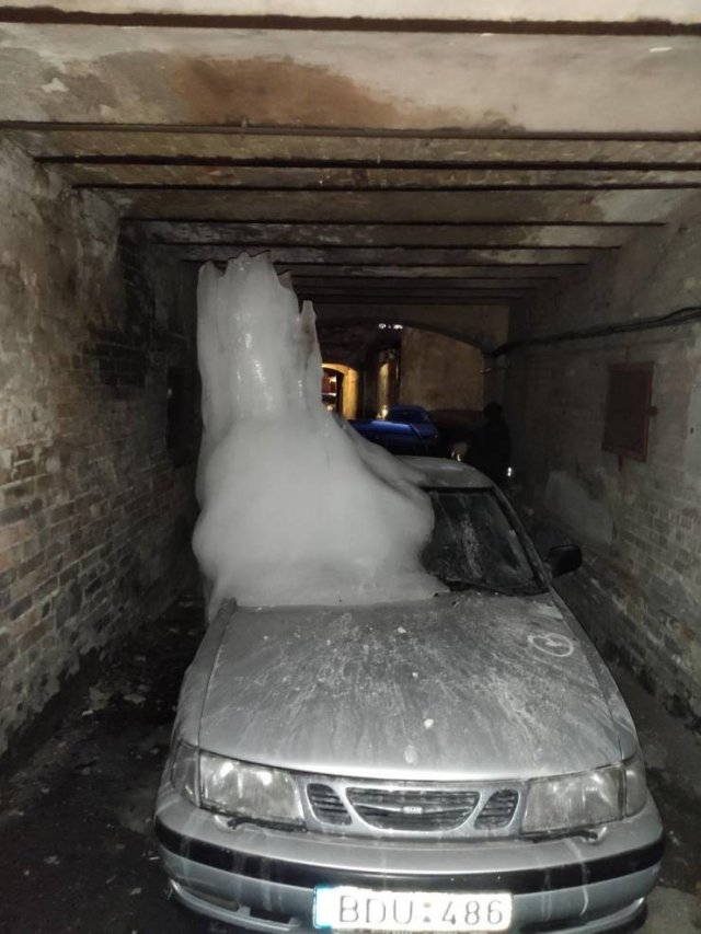 Weird Finds And Situations (40 pics)