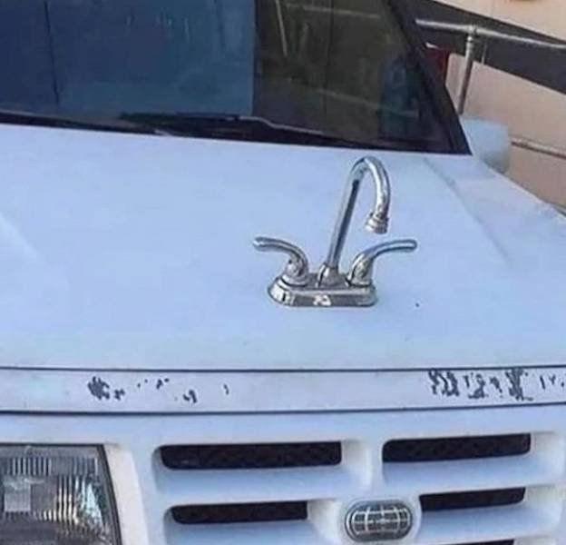 Weird Finds And Situations (40 pics)
