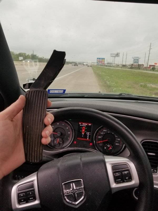 Weird Finds And Situations (40 pics)