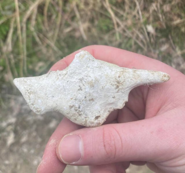 Incredible Discoveries And Finds (35 pics) Incredible Discoveries And Finds (35 pics)