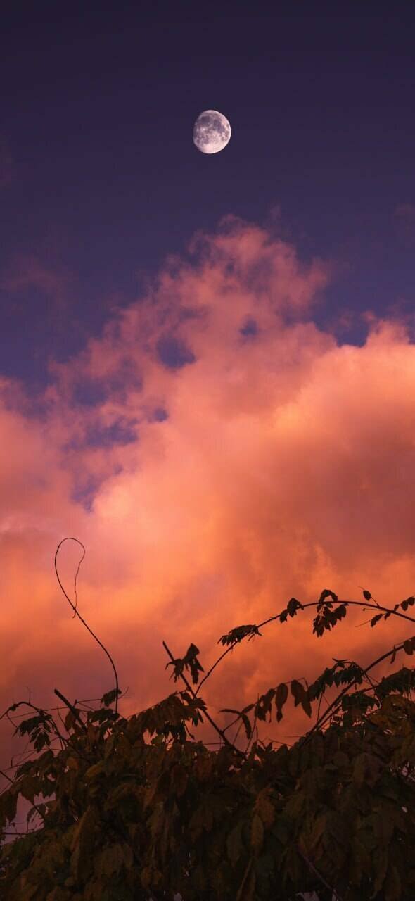 Cool Wallpapers For Your Smartphone (38 pics)