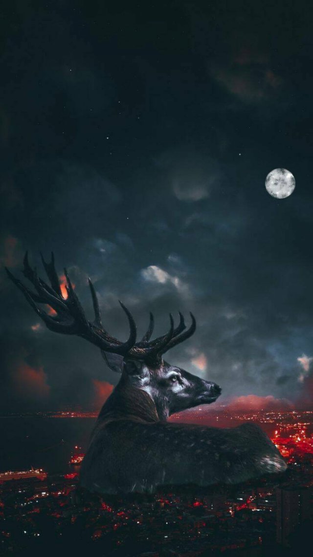 Cool Wallpapers For Your Smartphone (38 pics)