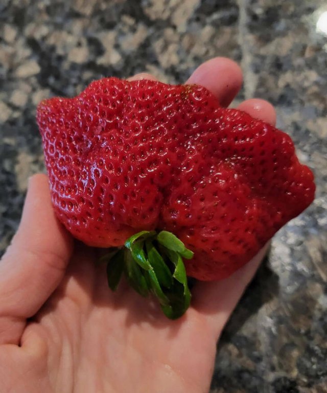Incredible Discoveries And Finds (35 pics)
