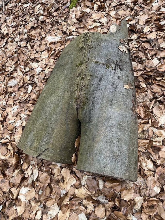 Incredible Discoveries And Finds (35 pics)