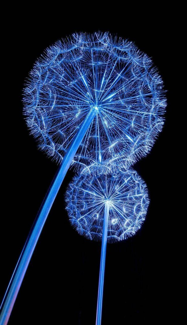 Cool Wallpapers For Your Smartphone (38 pics)