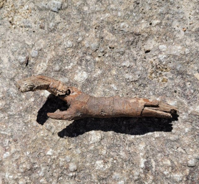 Incredible Discoveries And Finds (35 pics)