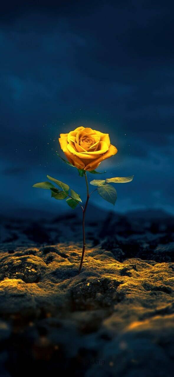 Cool Wallpapers For Your Smartphone (38 pics)