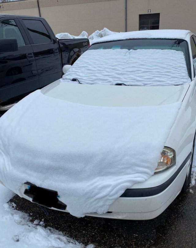 Incredible Discoveries And Finds (35 pics) Incredible Discoveries And Finds (35 pics)