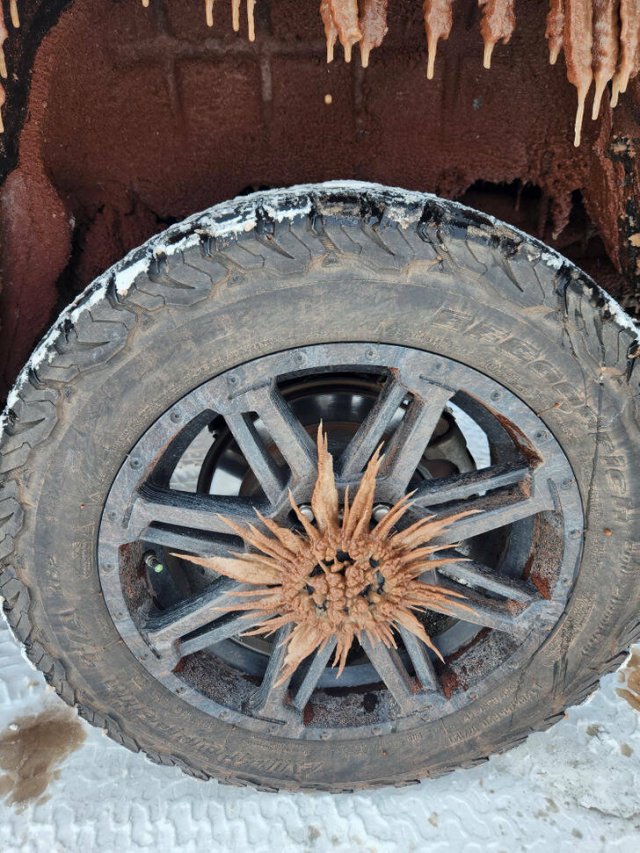 Incredible Discoveries And Finds (35 pics) Incredible Discoveries And Finds (35 pics)