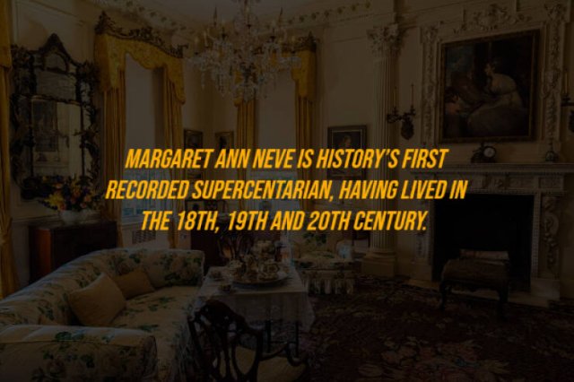 Random Facts (27 pics)