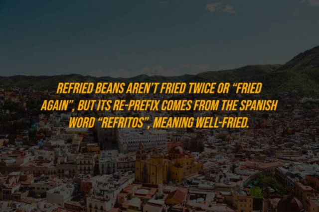 Random Facts (27 pics)