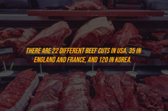 Random Facts (27 pics)