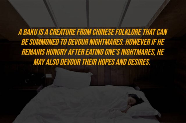 Random Facts (27 pics)