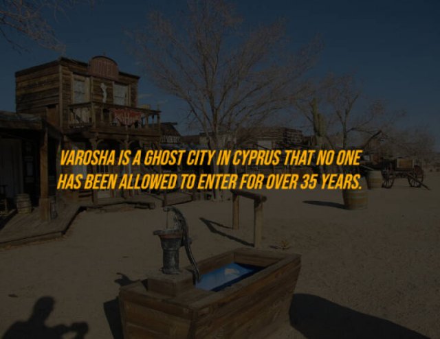 Random Facts (27 pics)