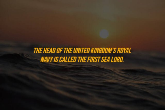 Random Facts (27 pics)