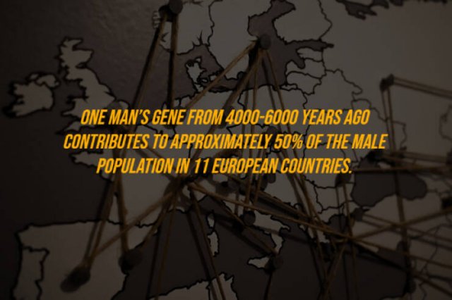 Random Facts (27 pics)